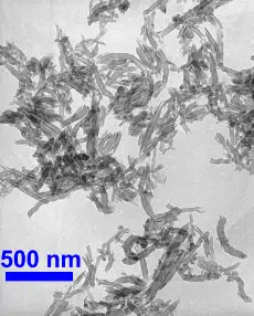 Short Multi Walled Carbon Nanotubes 10-20nm