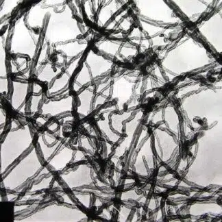 TEM image of COOH Functionalized Graphitized Multi Walled Carbon Nanotubes 20-30nm