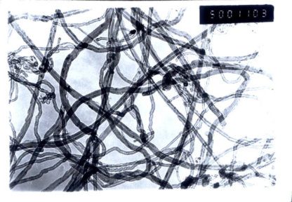 COOH Functionalized industrial grade multi walled carbon nanotubes 10-30nm