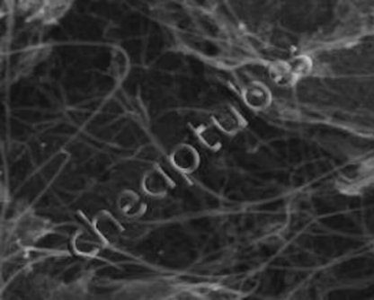 single-walled-double-walled-carbon-nanotubes-99