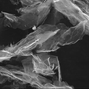 F Functionalized Graphene Nanoplatelets SEM Image