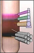 Carbon Nanotubes Density Gradient carbon-nanotubes-density-gradient
