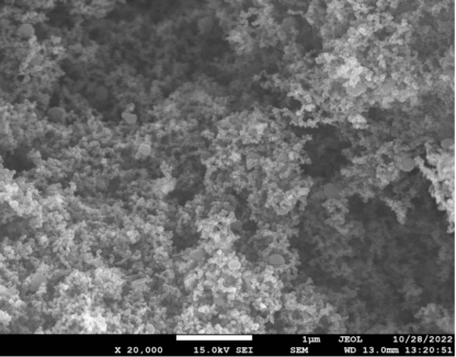 Graphene nanoparticles lubricant additive SEM image 20,000X