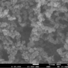 Graphene nanoparticles lubricant additive SEM image 80,000X