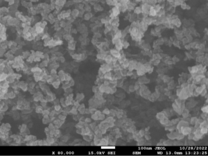 Graphene nanoparticles lubricant additive SEM image 80,000X