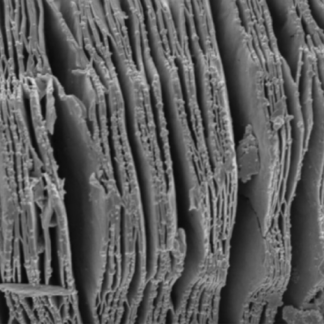 Ti3C2-MXene-SEM-Image-1um-scale