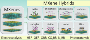 MXene-derivatives