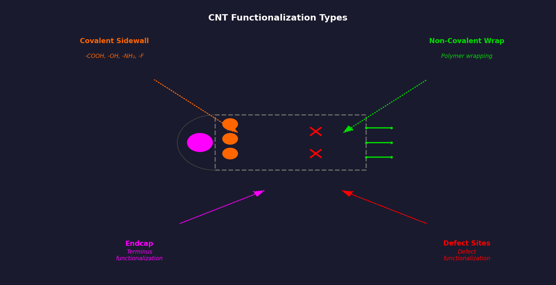 Schematic diagram of carbon nanotube functionalization showing covalent sidewall groups (-COOH, -OH, -NH2, -F), endcap functionalization, non-covalent polymer wrapping, and defect-site functionalization