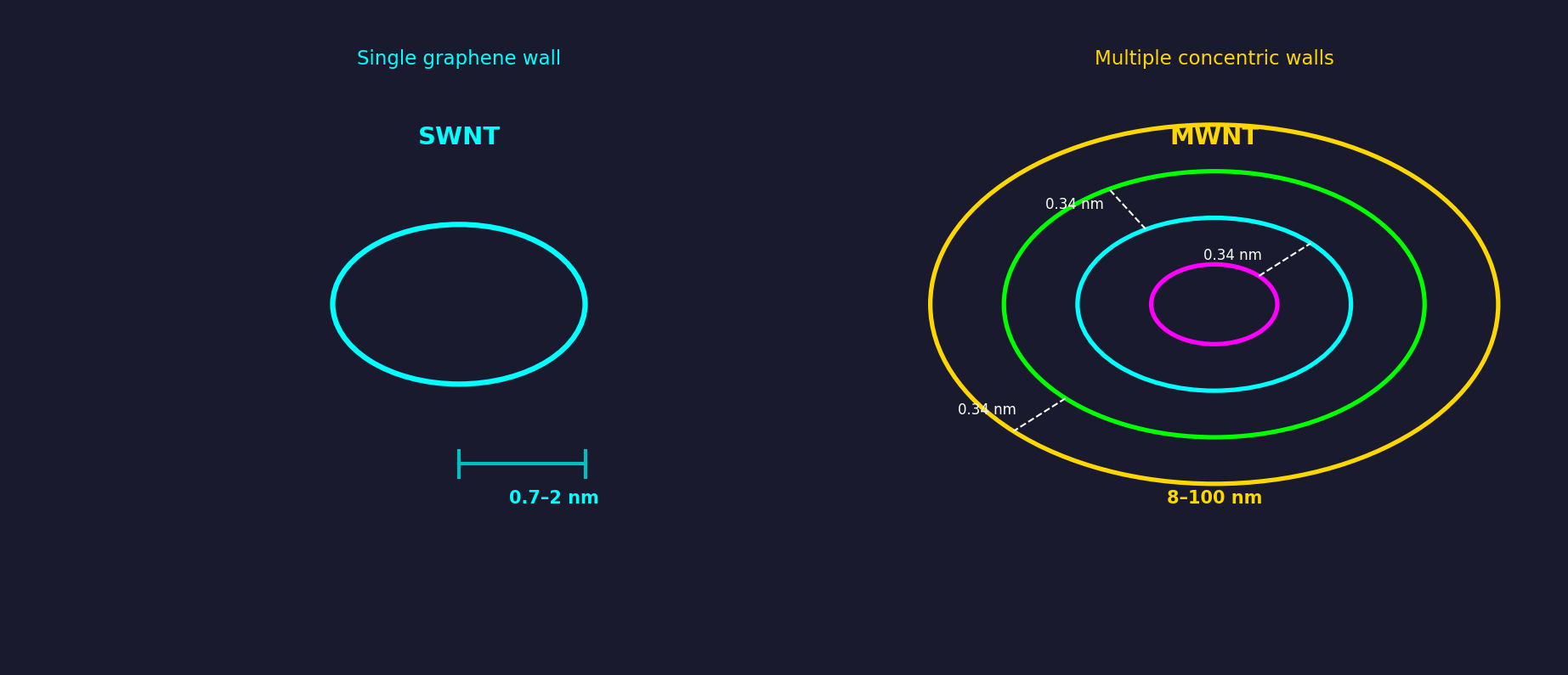 Cross-section comparison of single-walled carbon nanotube (0.7-2nm diameter, single wall) versus multi-walled carbon nanotube (4 concentric walls, 0.34nm interlayer spacing)