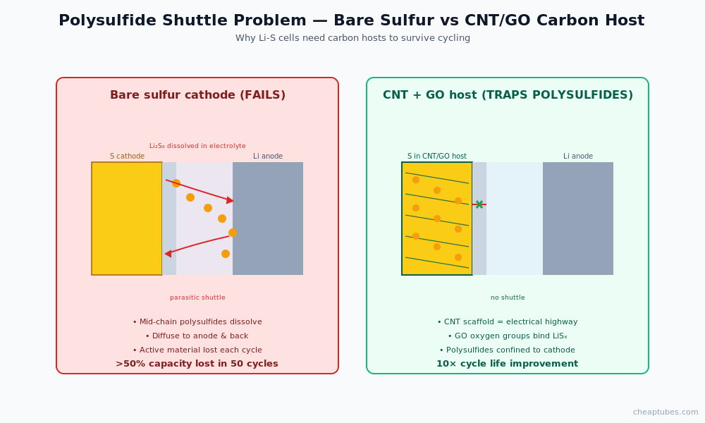 Side by side comparison: bare sulfur cathode allowing polysulfides to dissolve and shuttle to anode losing greater than 50 percent capacity in 50 cycles, versus CNT plus GO host trapping polysulfides physically and chemically extending cycle life 10x