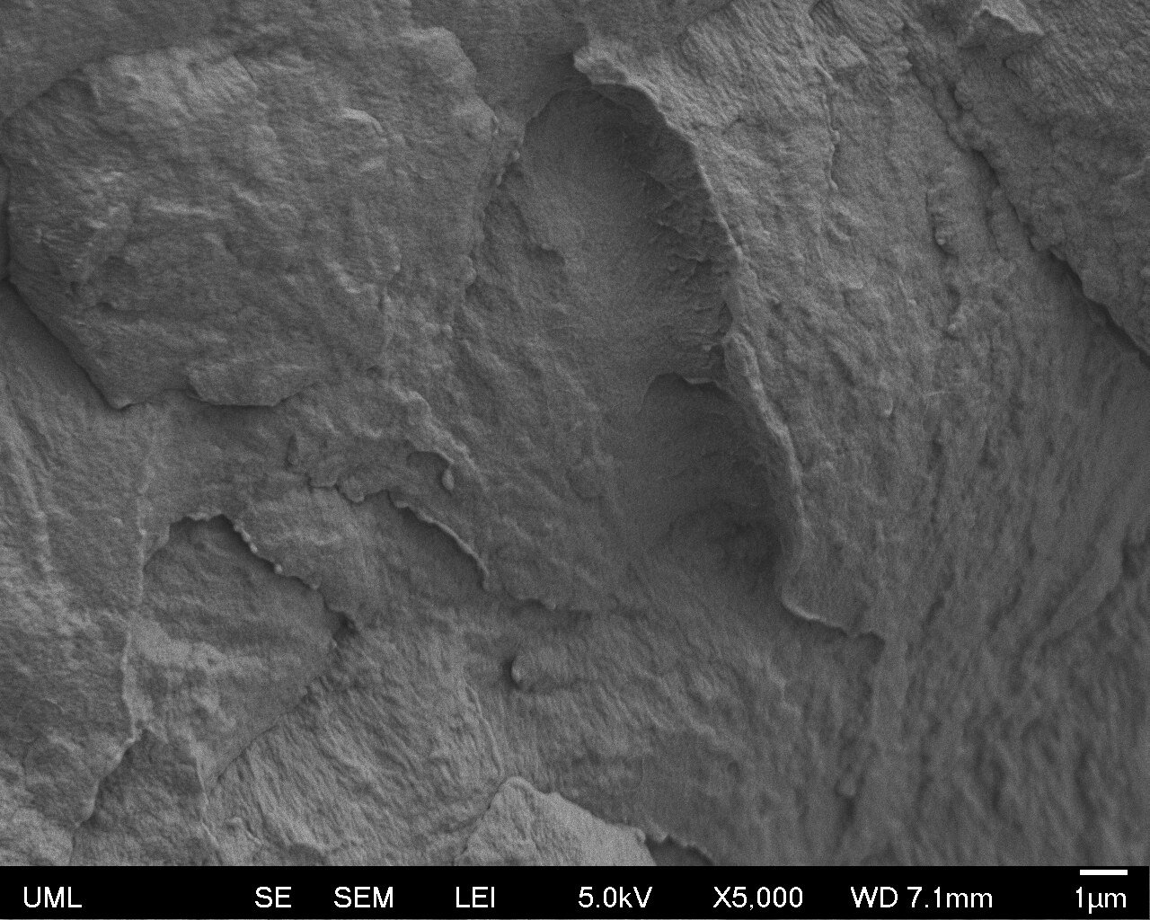 High-magnification scanning electron microscope image at 5000× of cryofractured PA 66 with 1 wt% Flexiphene graphene nanoplatelets, with the lab confirming nanoparticle agglomeration was not observed under multiple magnifications