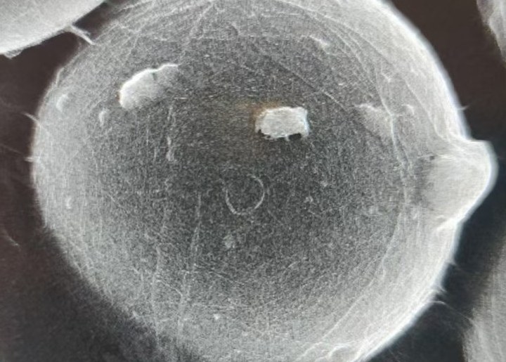 Silicon anode particle wrapped in a web of single wall carbon nanotubes after slurry incorporation, seen by SEM