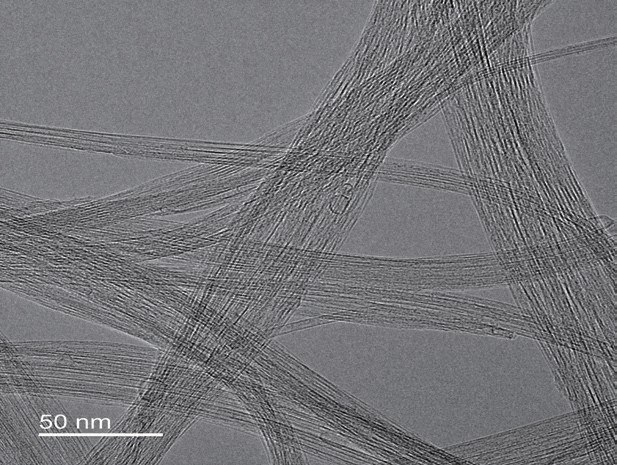 TEM image of single wall carbon nanotube bundles at 50 nm scale, individual tube walls visible in each bundle
