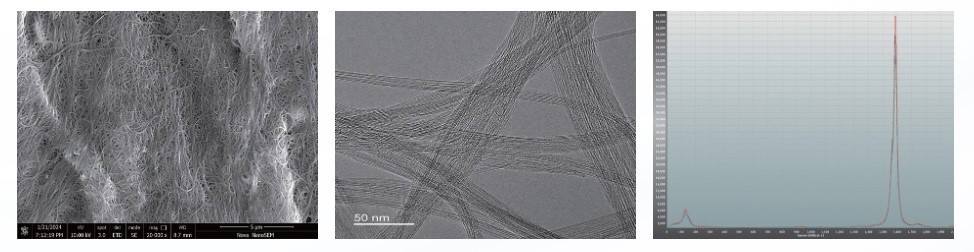 SEM, TEM, and Raman characterization panel of high purity single wall carbon nanotube powder showing entangled tube network, individual bundles at 50nm scale, and a sharp G band
